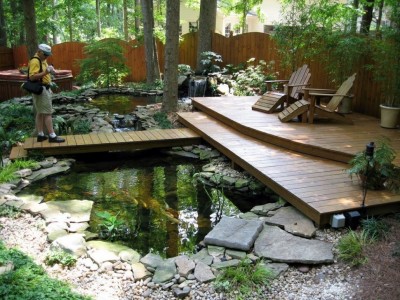 small backyard pond garden