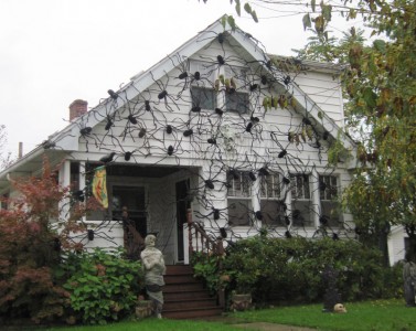 spider halloween house